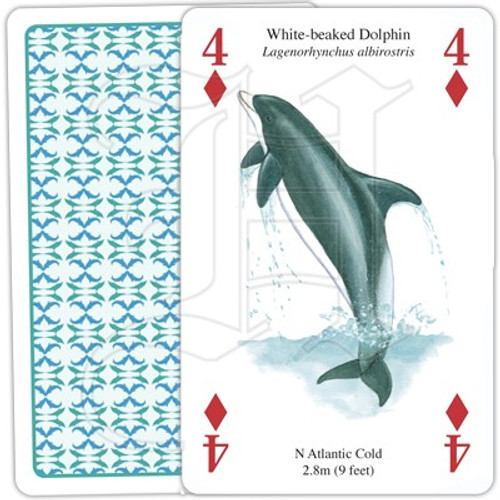Whales & Dolphins Playing Cards