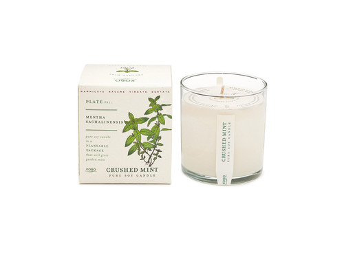 Crushed Mint Candle with Plantable Seed Box