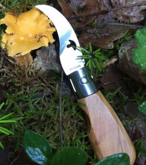 Jean Dubost Mushroom Pocket Knife 