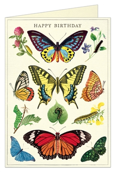 Happy Birthday Butterflies Greeting Card