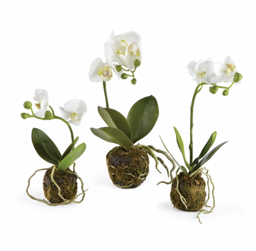 Orchid Phalaenopsis Drop In 8" Tall Drop In One (1) Plant (faux/fake)