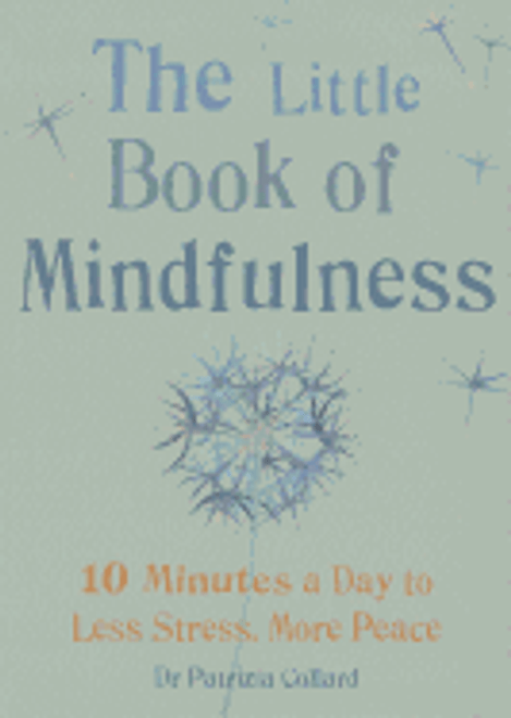 The Little Book Of Mindfulness 10 Minutes A Day To Less Stress & More Peace