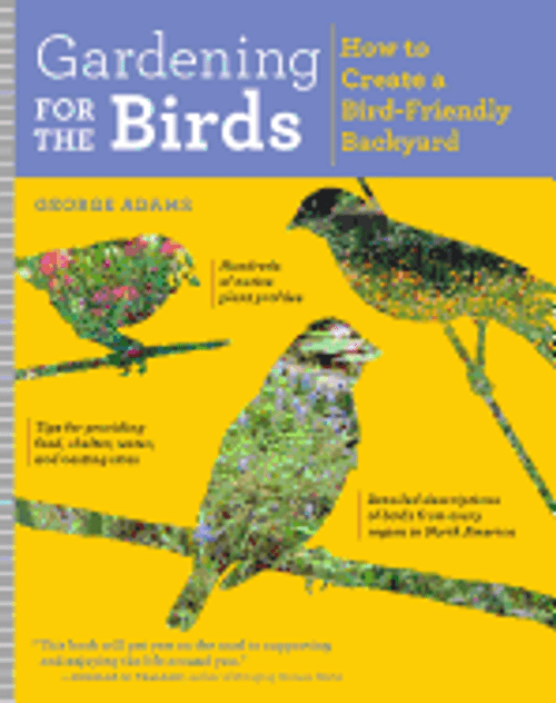 Gardening For The Birds How To Create A Bird Friendly Backyard