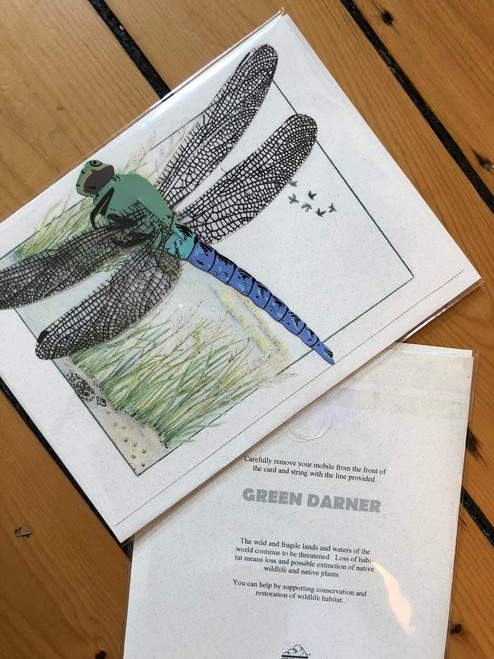 Green Darner Dragonfly Card