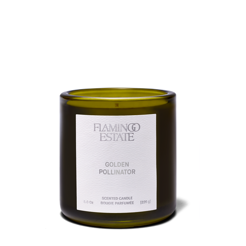 GOLDEN POLLINATOR  Hand Poured Scented Candle