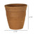 Rustic Wood Caddy with 10 Tiny Clay Pots