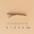 Shooting Star Clip Style Hair Barrette