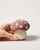 Forager Felted Mushroom Soap (Assorted Colors)