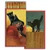 Black Cat Witch Halloween Match Box
