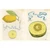 John Derian Sticker Book II ( John Derian Paper Goods )