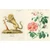 John Derian Sticker Book II ( John Derian Paper Goods )