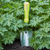 Florabrite Fluorescent Yellow Hand Trowel by Burgon & Ball 