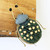 Bug Brooch Pin Aurora