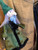 Marionette Puppet Wizard in Regal Green