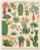 Vintage Puzzle Cacti & Succulents 1000 Piece Puzzle