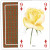 Classic Roses Playing Cards