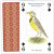 Backyard Birds Playing Cards