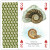 Fossils Playing Cards
