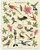 Vintage Puzzle Hummingbirds 1000 Piece Puzzle