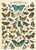 Butterfly Chart Wrap Sheet 20" x 28"