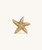 Seastar Starfish Brass Knob (single)