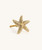 Seastar Starfish Brass Knob (single)