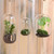 Hanging Glass Terrarium with Rope (in two styles TALL and WIDE)