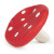 Spotty the Mushroom Chewy Teether Pacifier