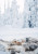 Nordic Winter Cookbook