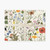 BOTANIST Double Sided Wrapping Paper Sheet (single sheet)