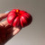 Heirloom Tomato Candle (Assorted Sizes and Colors)