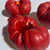 Heirloom Tomato Candle (Assorted Sizes and Colors)