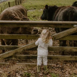 Merino/Organic Cotton Winter Pyjamas - Farmyard