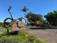 Coconut Glen's Ice Cream