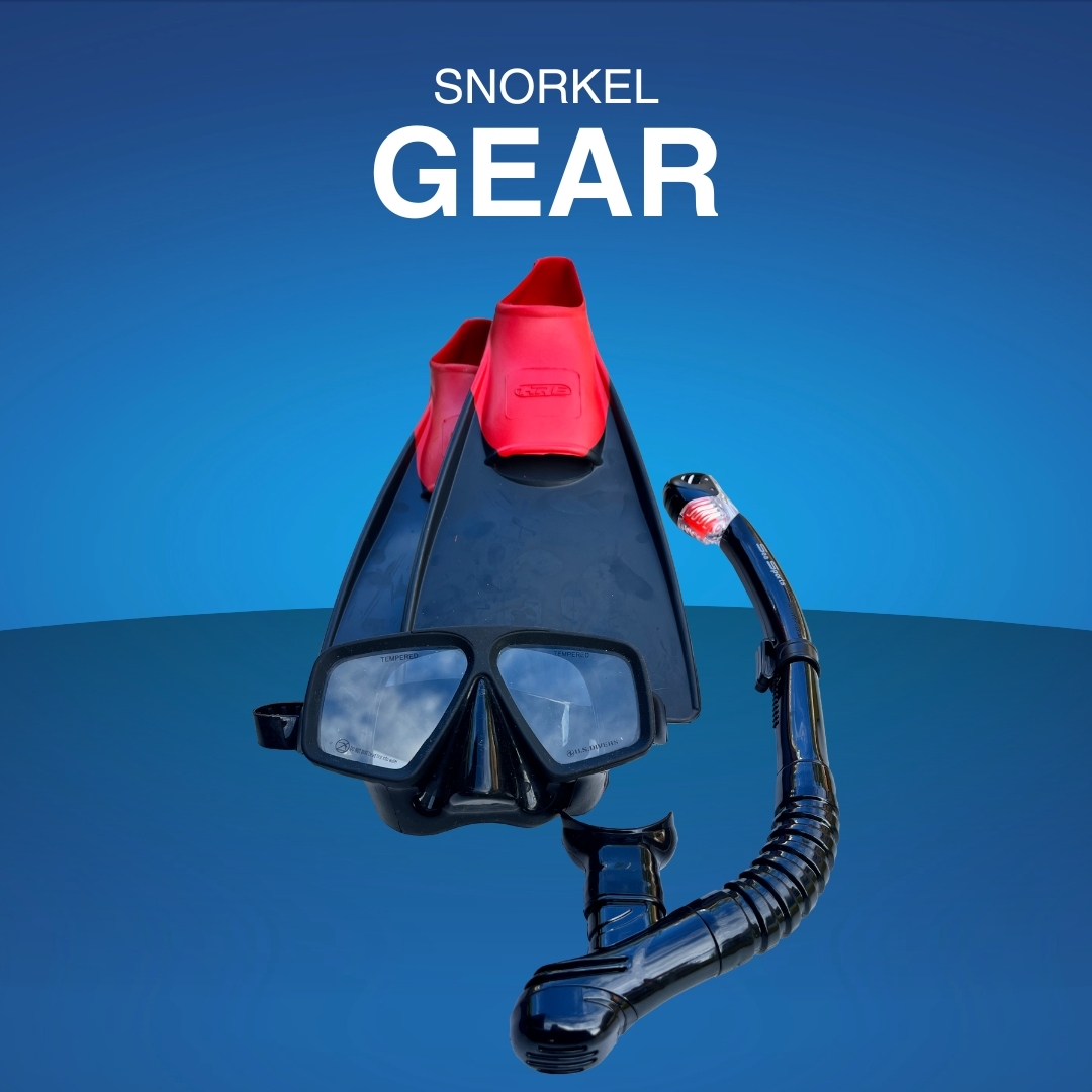Snorkel Gear Rental Maui