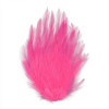 Feather Hackle Pad