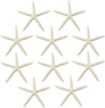 Starfish - Finger Starfish White