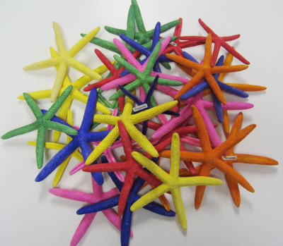 Starfish - Finger Starfish Dyed