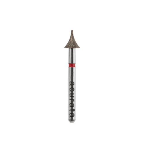 Fresa Diamante F833.314.031 Edenta (5)
