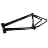 BSD RVIDXR V2 Frame-1