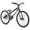 Chase Edge Mini Bike