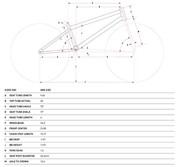 GT Freestyle Bike Sizing and Geometry