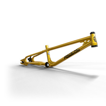 Race Inc Elite Frame