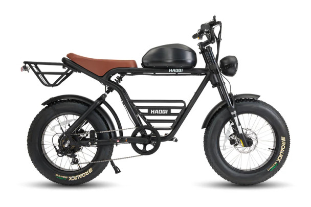 HAOQI Rhino ebike