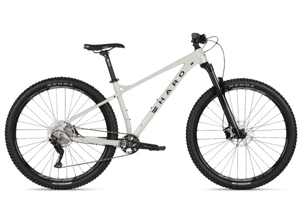 Haro MTB Double Peak 29 Comp Bike