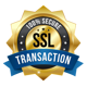 SSL Secure Website