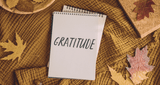 Gratitude Is a Skill - Not Just a Season
