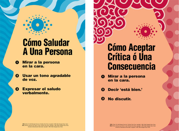 Cover Image of Middle and High School Social Skills Poster Set (Spanish)
