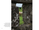 Inside Page Image 2-Father Flanagan's Ireland: Birthplace of a Dream