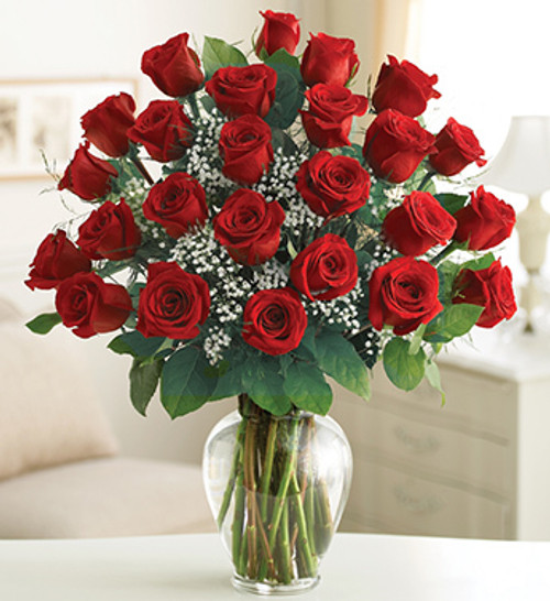 2 Dozen Red Rose Elegance Premium Dozen Roses